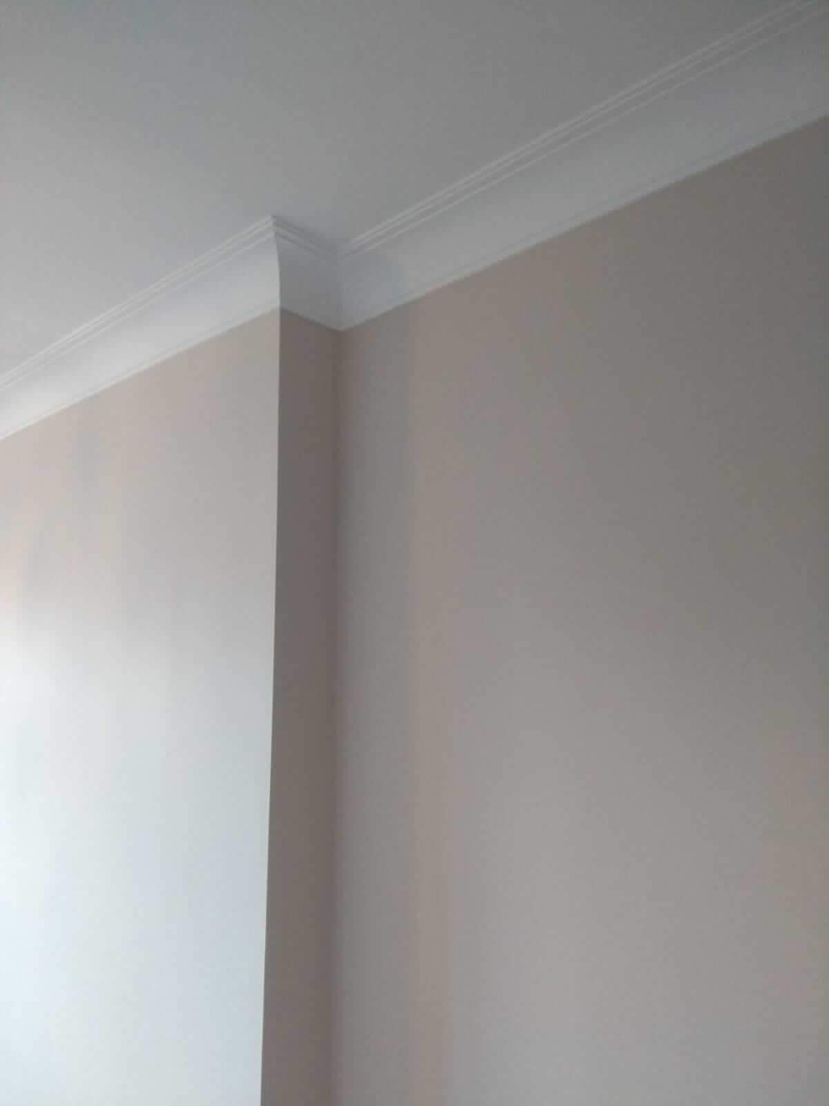 MD105 Coving - Lightweight Coving above a plain wall