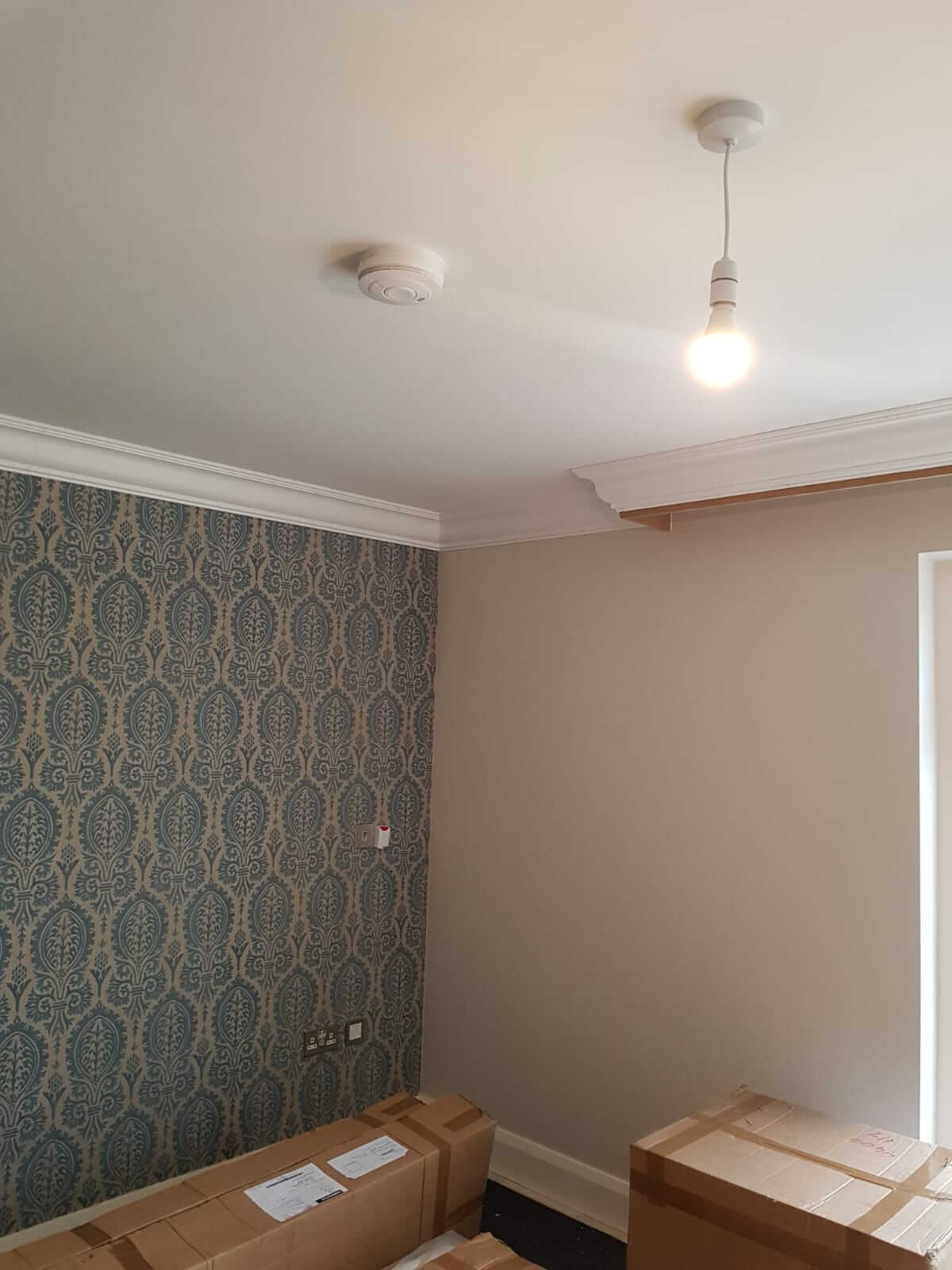 Charlotte - Lightweight Coving in an unfurnished room