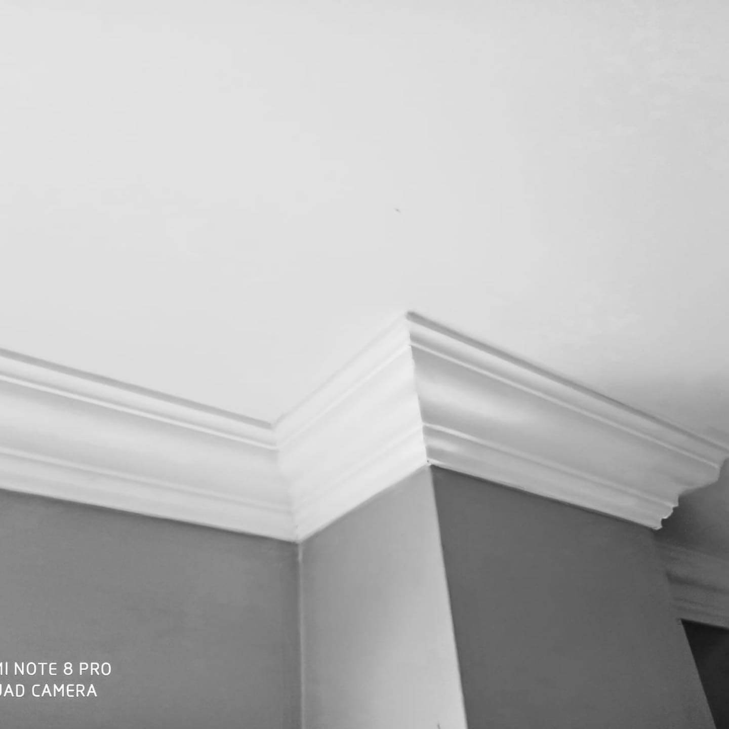 buy skirting online