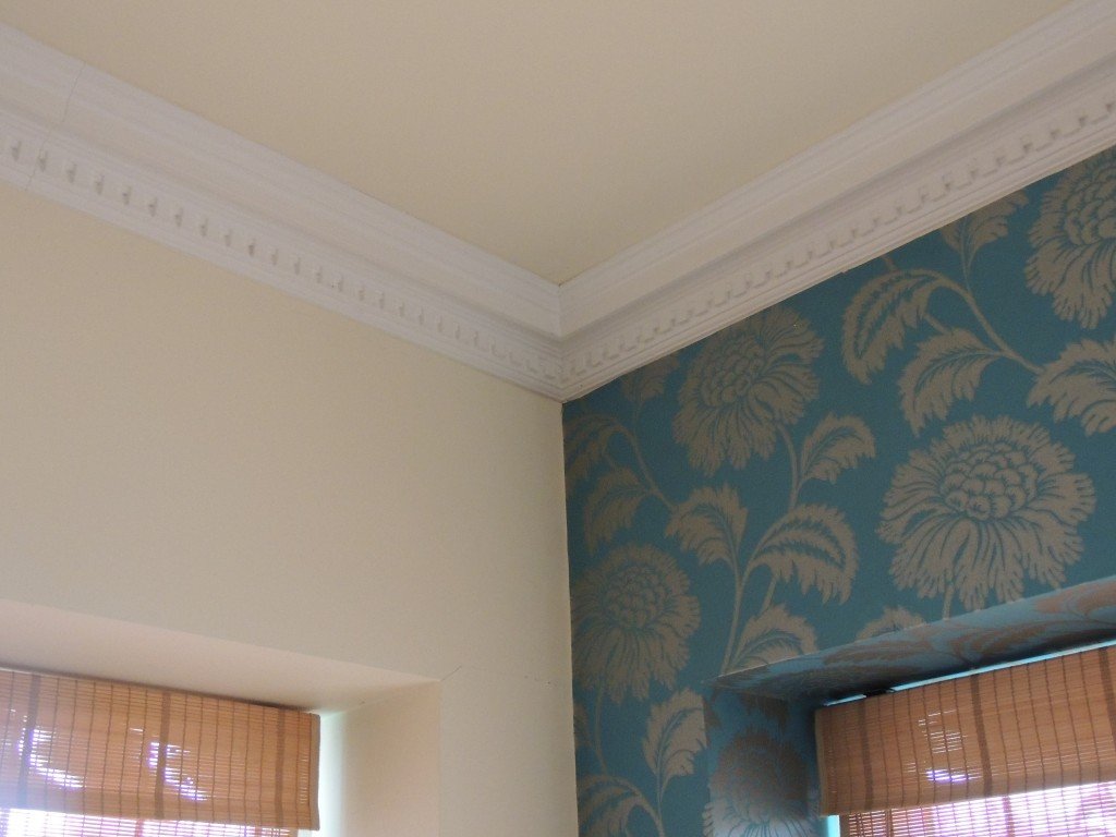 Dental (Large) - Classic Coving in a bright room