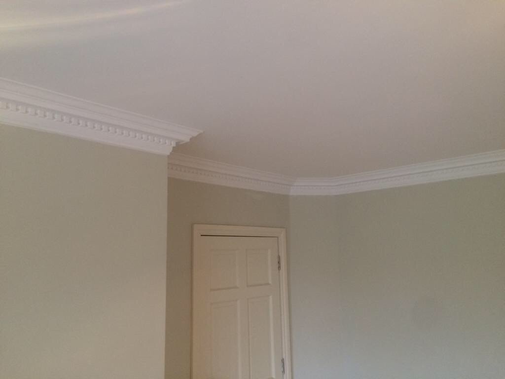 Dental (Large) - Classic Coving in an unfurnished room