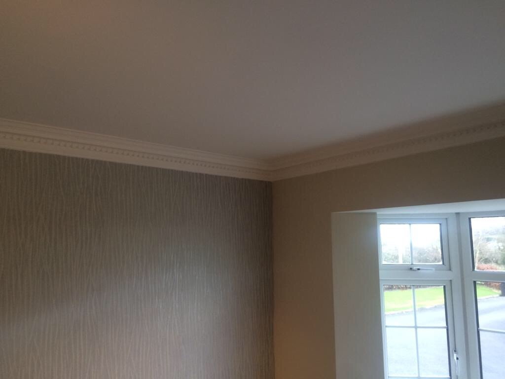 Dental (Large) - Classic Coving in a room